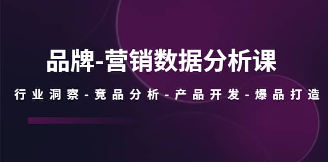 品牌-营销数据分析课，行业洞察-竞品分析-产品开发-爆品打造-飞宇网创