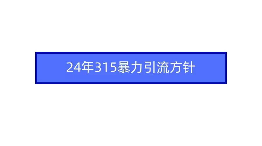 2024年315暴力引流方针-飞宇网创