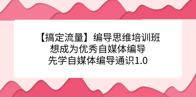 【搞定流量】编导思维培训班，想成为优秀自媒体编导先学自媒体编导通识1.0-飞宇网创