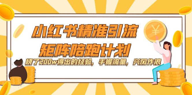 小红书精准引流·矩阵陪跑计划：烧了200w得出的经验，手握流量，兴风作浪！-飞宇网创