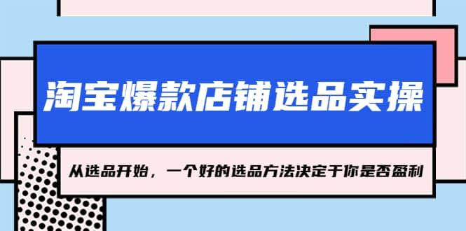 淘宝爆款店铺选品实操，2023从选品开始，一个好的选品方法决定于你是否盈利-飞宇网创