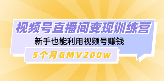 视频号直播间变现训练营-飞宇网创