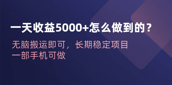 一天收益5000+怎么做到的？无脑搬运即可，长期稳定项目，一部手机可做-飞宇网创