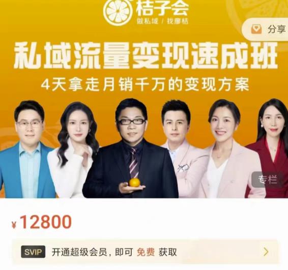 桔子会·私域流量变现速成班，4天拿走月销千万的变现方案 价值12800元-飞宇网创