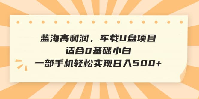 蓝海高利润，车载U盘项目，适合0基础小白，一部手机轻松实现日入500+-飞宇网创