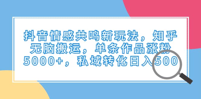 抖音情感共鸣新玩法，知乎无脑搬运，单条作品涨粉5000+，私域转化日入500-飞宇网创