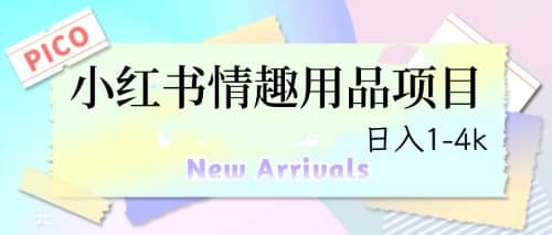 最新小红书情趣用品项目，日入1-4k-飞宇网创