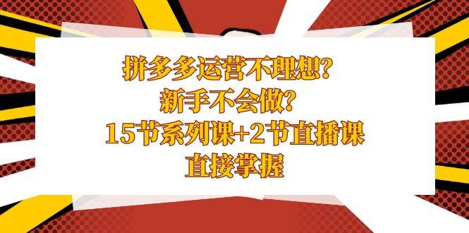 拼多多运营不理想？新手不会做？15节系列课+2节直播课，直接掌握-飞宇网创