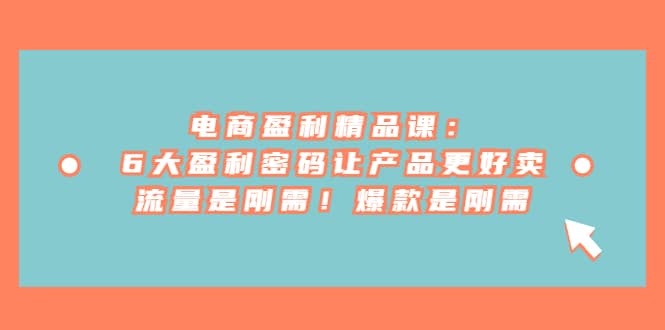 电商 盈利精品课：6大盈利 密码让产品更好卖，流量是刚需！爆款是刚需-飞宇网创