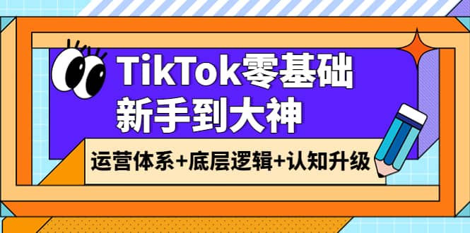 TikTok零基础新手到大神：运营体系+底层逻辑+认知升级（9节系列课）-飞宇网创