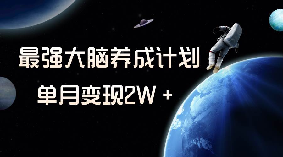 冷门虚拟项目，最强大脑养成计划，一个月变现2W＋-飞宇网创