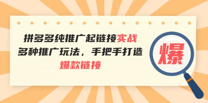 拼多多纯推广起链接实战：多种推广玩法，手把手打造爆款链接-飞宇网创