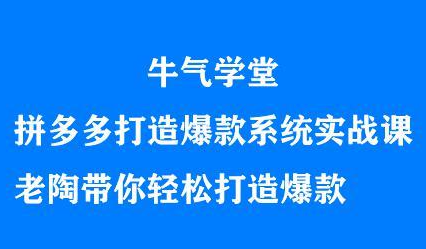 牛气学堂拼多多打造爆款系统实战课，老陶带你轻松打造爆款-飞宇网创