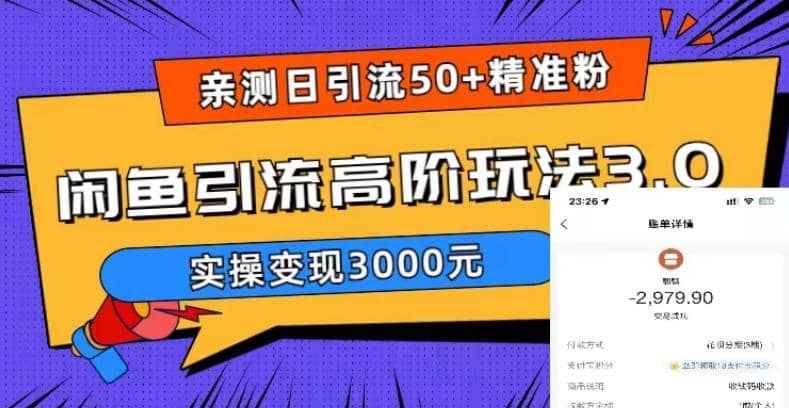 实测日引50+精准粉，闲鱼引流高阶玩法3.0，实操变现3000元-飞宇网创