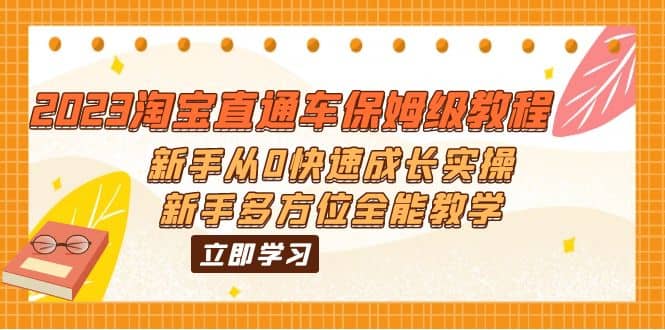 2023淘宝直通车保姆级教程：新手从0快速成长实操，新手多方位全能教学-飞宇网创