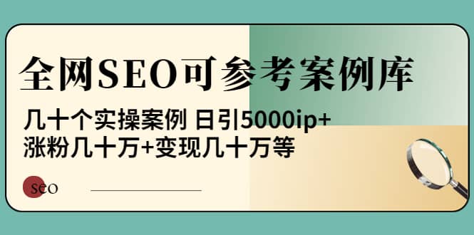 《全网SEO可参考案例库》几十个实操案例-飞宇网创