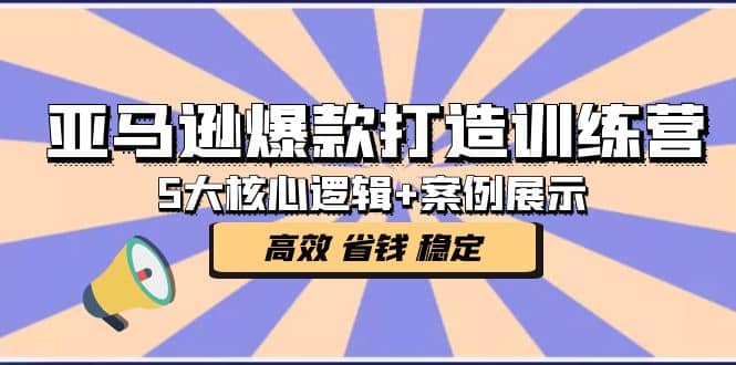 亚马逊爆款打造训练营：5大核心逻辑+案例展示 打造爆款链接 高效 省钱 稳定-飞宇网创
