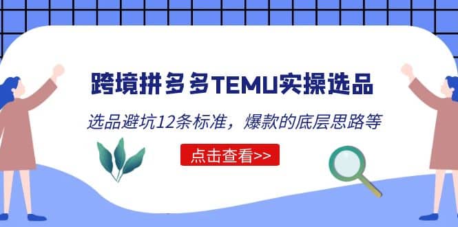 跨境拼多多TEMU实操选品运营方法，选品避坑12条标准，爆款的底层思路等-飞宇网创