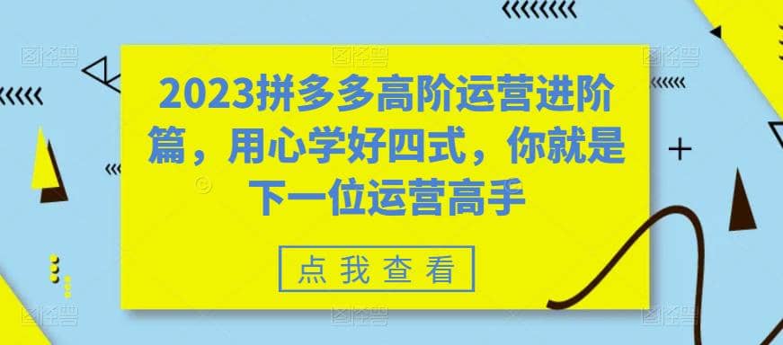 2023拼多多高阶运营进阶篇，用心学好四式，你就是下一位运营高手-飞宇网创