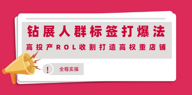 钻展人群标签打爆法，高投产ROL收割打造高权重店铺(全程实操)-飞宇网创