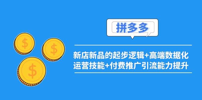 2022拼多多：新店新品的起步逻辑+高端数据化运营技能+付费推广引流能力提升-飞宇网创
