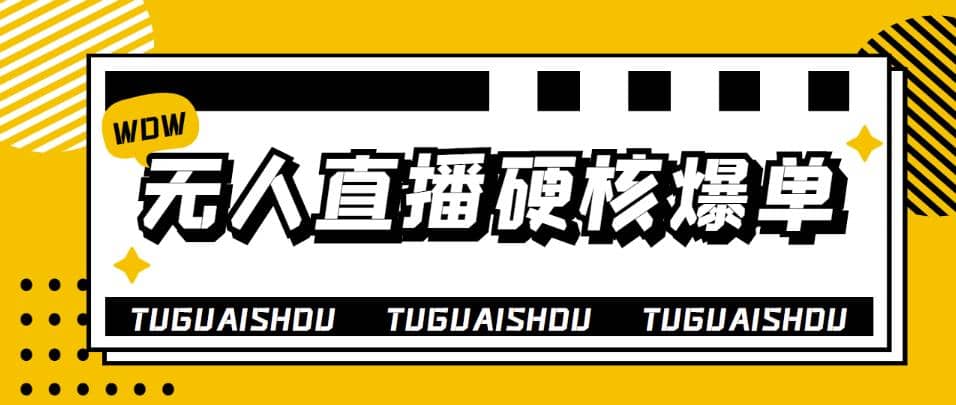 大飞无人直播硬核爆单技术，轻松玩转无人直播-飞宇网创