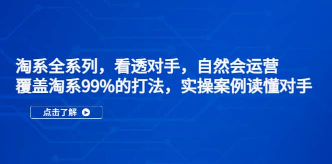 淘系全系列，看透对手，自然会运营，覆盖淘系99%·打法，实操案例读懂对手-飞宇网创