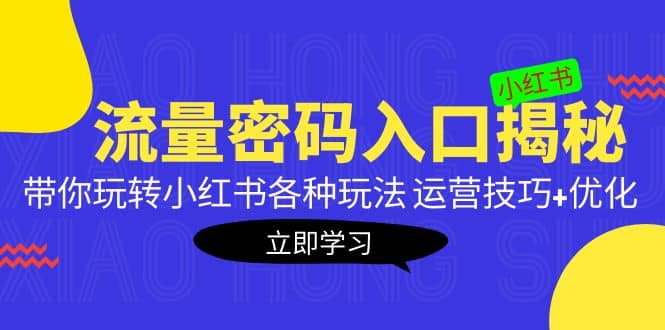 小红书流量密码入口揭秘：带你玩转小红书各种玩法 运营技巧+优化-飞宇网创