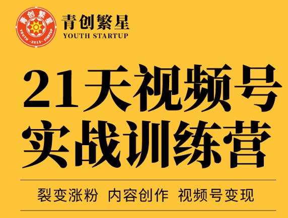 张萌21天视频号实战训练营，裂变涨粉、内容创作、视频号变现 价值298元-飞宇网创