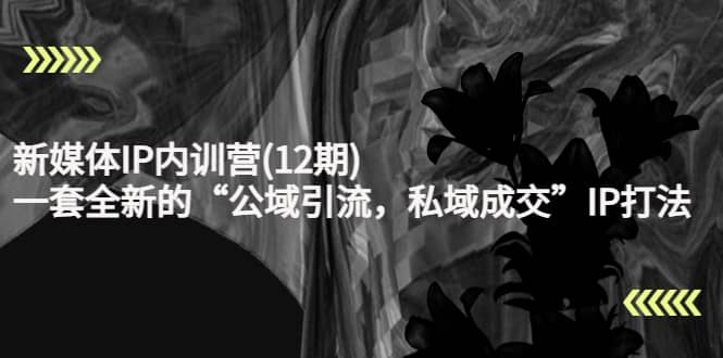 新媒体IP内训营(12期)，一套全新的“公域引流，私域成交”IP打法，直接带走-飞宇网创