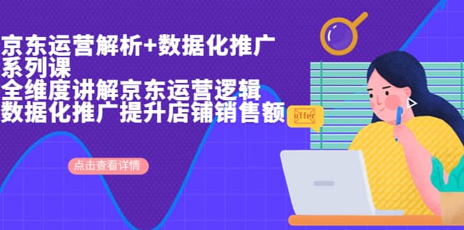 京东运营解析与数据化推广系列课，全维度讲解京东运营逻辑+数据化推广提升店铺销售额-飞宇网创