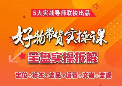 抖音好物带货实操课，全盘拆解抖音好物带货号全套流程打法-飞宇网创