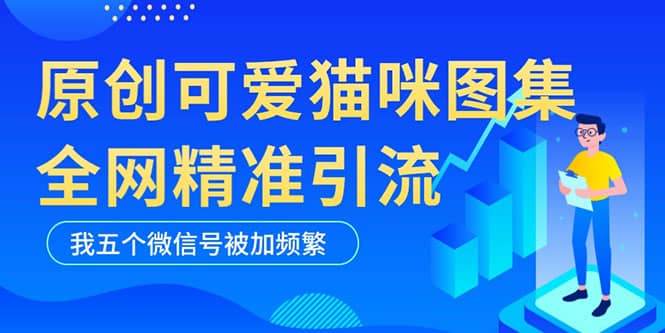 黑科技纯原创可爱猫咪图片，全网精准引流，实操5个VX号被加频繁-飞宇网创