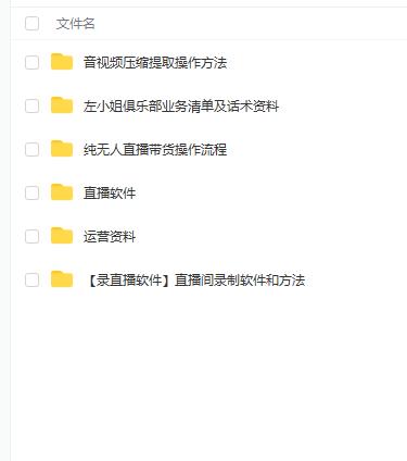 左小姐-直播带货俱乐部十三行、无人直播，全套教程附：工具、文档、话术资料-飞宇网创