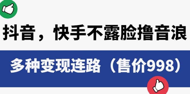 抖音，快手不露脸撸音浪项目，多种变现连路（售价998）-飞宇网创