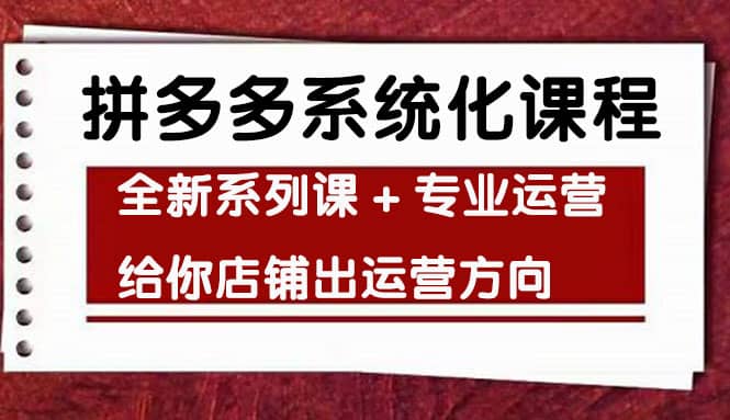 车神陪跑，拼多多系统化课程，全新系列课+专业运营给你店铺出运营方向-飞宇网创