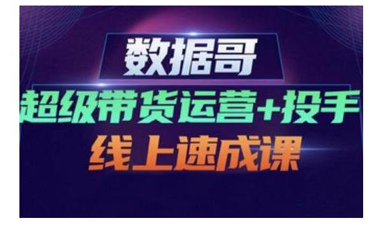 数据哥·超级带货运营+投手线上速成课，快速提升运营和熟悉学会投手技巧-飞宇网创