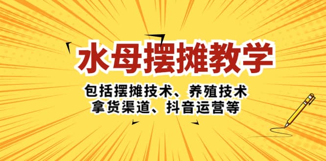 水母·摆摊教学，包括摆摊技术、养殖技术、拿货渠道、抖音运营等-飞宇网创