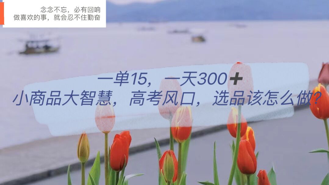 一单15，一天300+，小商品大智慧，高考风口，选品该怎么布局-飞宇网创