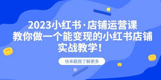 2023小红书·店铺运营课，教你做一个能变现的小红书店铺，20节-实战教学-飞宇网创