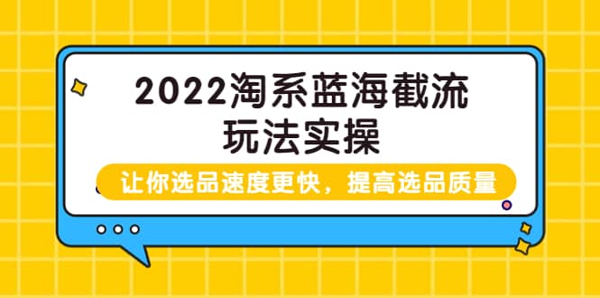 2022淘系蓝海截流玩法实操：让你选品速度更快，提高选品质量（价值599）-飞宇网创