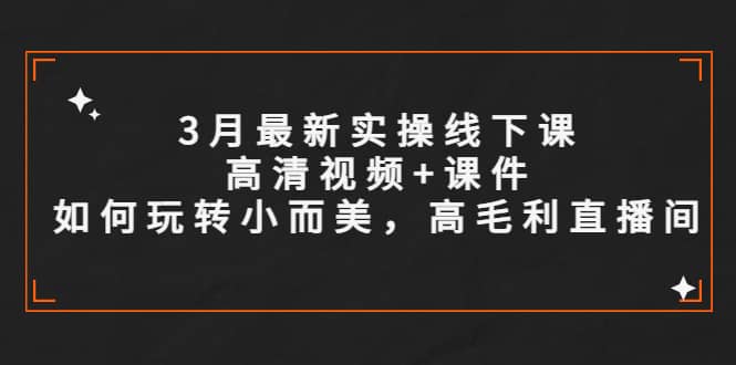 3月最新实操线下课高清视频+课件，如何玩转小而美，高毛利直播间-飞宇网创