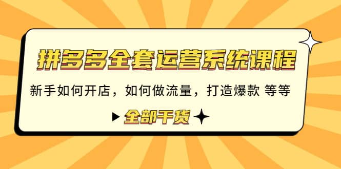 拼多多全套运营系统课程：新手如何开店 如何做流量 打造爆款 等等 全部干货-飞宇网创