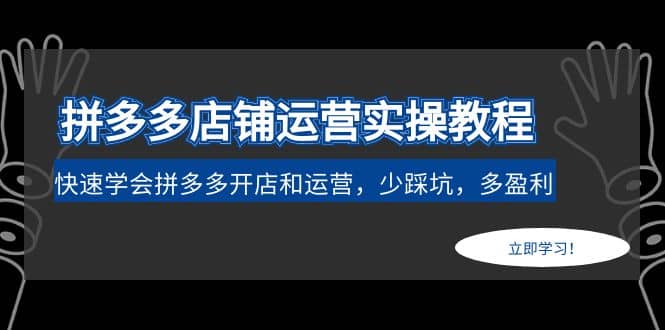 拼多多店铺运营实操教程：快速学会拼多多开店和运营，少踩坑，多盈利-飞宇网创