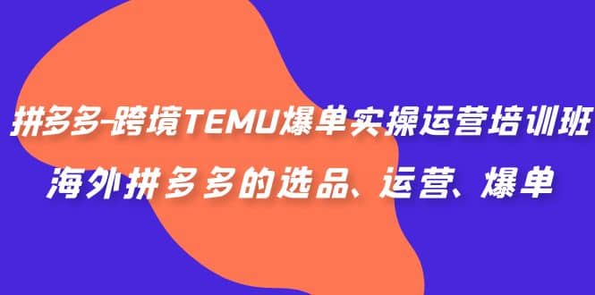 拼多多-跨境TEMU爆单实操运营培训班，海外拼多多的选品、运营、爆单-飞宇网创