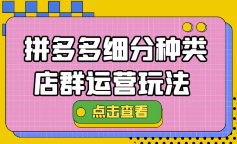 拼多多细分种类店群运营玩法3.0，11月最新玩法，小白也可以操作-飞宇网创