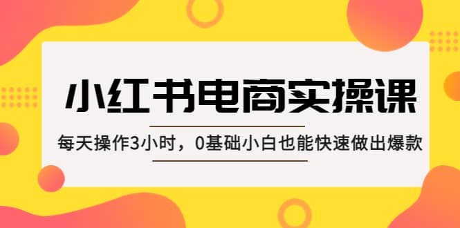 小红书·电商实操课：每天操作3小时，0基础小白也能快速做出爆款-飞宇网创