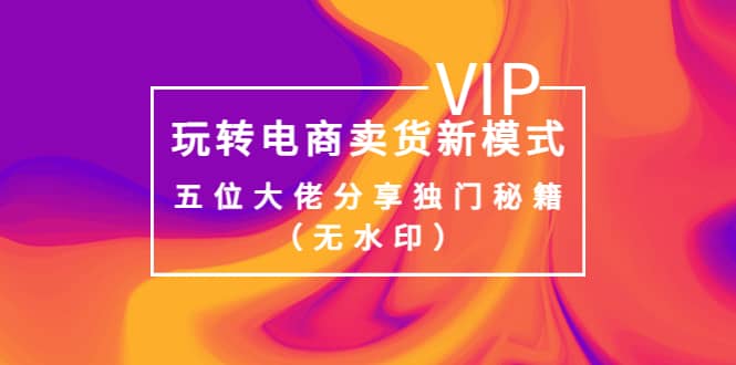 某收费培训：玩转电商卖货新模式，五位大佬分享独门秘籍（无水印）-飞宇网创
