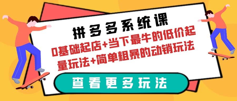 拼多多系统课：0基础起店+当下最牛的低价起量玩法+简单粗暴的动销玩法-飞宇网创