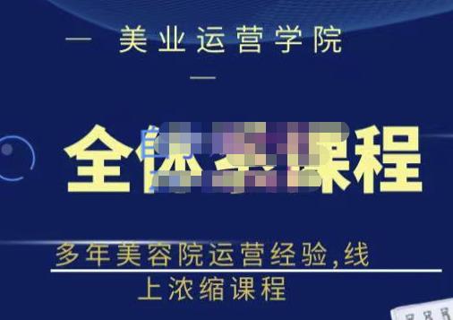 网红美容院全套营销落地课程，多年美容院运营经验，线上浓缩课程-飞宇网创